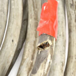 Multikabel 17x1,5mm2 L=15m H16 (beschadiging kabel) - Afbeelding 2